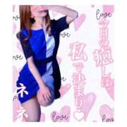 ヒメ日記 2025/03/15 15:49 投稿 浦田ねね Mrs. Dandy shinagawa