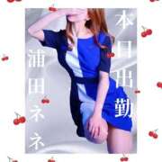 ヒメ日記 2025/05/02 11:02 投稿 浦田ねね Mrs. Dandy shinagawa