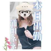 ヒメ日記 2025/07/10 20:46 投稿 浦田ねね Mrs. Dandy shinagawa