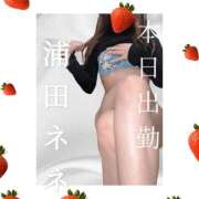 ヒメ日記 2025/09/06 11:02 投稿 浦田ねね Mrs. Dandy shinagawa