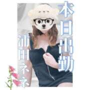 ヒメ日記 2025/07/15 14:11 投稿 浦田ねね Mrs. Dandy