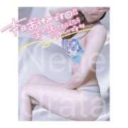 ヒメ日記 2025/10/23 17:27 投稿 浦田ねね Mrs. Dandy