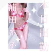 ヒメ日記 2025/11/25 19:31 投稿 浦田ねね Mrs. Dandy