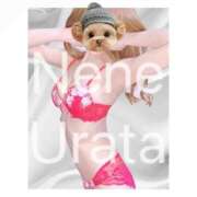 ヒメ日記 2025/09/29 00:54 投稿 浦田ねね Mrs.Dandy Ueno