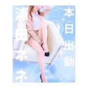 ヒメ日記 2025/12/15 05:51 投稿 浦田ねね Mrs.Dandy Ueno