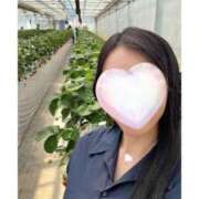 ヒメ日記 2025/02/24 14:18 投稿 しほ ナイスレディ