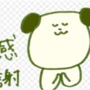 ヒメ日記 2026/01/31 17:48 投稿 石井ちほ 五十路マダム 岐阜店