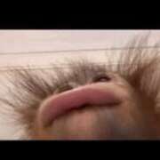 ヒメ日記 2026/02/22 11:45 投稿 あすか 中洲秘密倶楽部