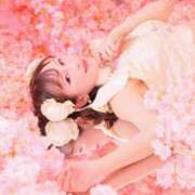 ヒメ日記 2025/03/26 00:20 投稿 藤咲らぶ ウルトラセレクション