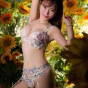 ヒメ日記 2025/08/19 10:50 投稿 藤咲らぶ ウルトラセレクション