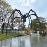 ヒメ日記 2025/04/03 15:26 投稿 あかり☆ CLUB PIAA