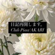 ヒメ日記 2025/04/11 21:26 投稿 あかり☆ CLUB PIAA