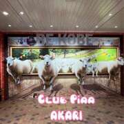 ヒメ日記 2025/10/22 17:01 投稿 あかり☆ CLUB PIAA