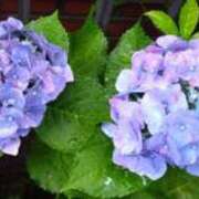 ヒメ日記 2025/06/14 14:14 投稿 田端 熟女の風俗最終章 横浜本店