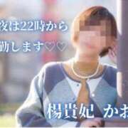 ヒメ日記 2024/02/11 14:25 投稿 かおり 鹿児島人妻 楊貴妃