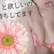 ヒメ日記 2025/03/06 22:05 投稿 かおり 鹿児島人妻 楊貴妃