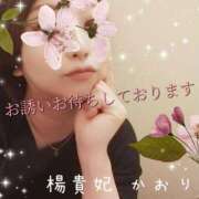 ヒメ日記 2025/04/06 11:19 投稿 かおり 鹿児島人妻 楊貴妃