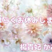 ヒメ日記 2025/05/07 17:25 投稿 かおり 鹿児島人妻 楊貴妃