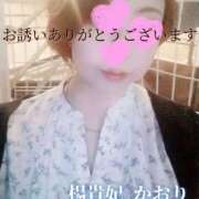 ヒメ日記 2025/06/14 07:46 投稿 かおり 鹿児島人妻 楊貴妃