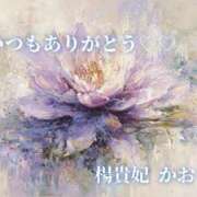 ヒメ日記 2026/02/27 08:41 投稿 かおり 鹿児島人妻 楊貴妃