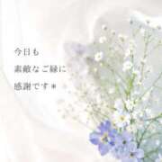 ヒメ日記 2026/07/28 07:41 投稿 かおり 鹿児島人妻 楊貴妃