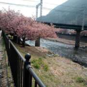 ヒメ日記 2025/04/01 08:46 投稿 鶴田 熟女の風俗最終章 新横浜店