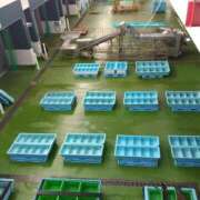 ヒメ日記 2025/08/26 09:47 投稿 鶴田 熟女の風俗最終章 新横浜店