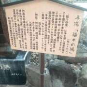 ヒメ日記 2025/12/09 12:26 投稿 鶴田 熟女の風俗最終章 新横浜店