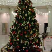 鶴田 ☆お礼☆ 熟女の風俗最終章 新横浜店