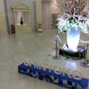 ヒメ日記 2026/03/13 08:16 投稿 鶴田 熟女の風俗最終章 新横浜店