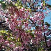 鶴田 ☆着きました☆ 熟女の風俗最終章 新横浜店