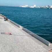 ヒメ日記 2026/04/10 09:36 投稿 鶴田 熟女の風俗最終章 新横浜店