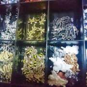 ヒメ日記 2024/12/19 21:56 投稿 るみ マリン千姫