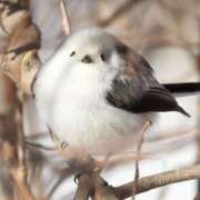 ヒメ日記 2024/12/24 23:46 投稿 るみ マリン千姫