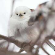 ヒメ日記 2025/02/03 23:36 投稿 るみ マリン千姫