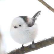 ヒメ日記 2025/02/12 15:26 投稿 るみ マリン千姫