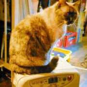 ヒメ日記 2025/03/14 23:36 投稿 るみ マリン千姫