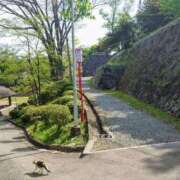 ヒメ日記 2025/04/01 11:26 投稿 るみ マリン千姫