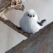 ヒメ日記 2025/04/13 15:13 投稿 るみ マリン千姫