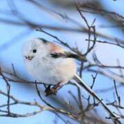 ヒメ日記 2025/04/14 22:39 投稿 るみ マリン千姫