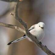 ヒメ日記 2025/04/15 14:56 投稿 るみ マリン千姫