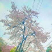 ヒメ日記 2025/04/18 12:36 投稿 るみ マリン千姫