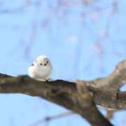 ヒメ日記 2025/05/03 15:36 投稿 るみ マリン千姫