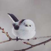 ヒメ日記 2025/05/13 23:09 投稿 るみ マリン千姫