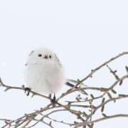 ヒメ日記 2025/05/26 23:26 投稿 るみ マリン千姫