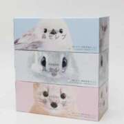 ヒメ日記 2025/05/31 23:06 投稿 るみ マリン千姫