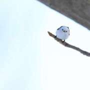 ヒメ日記 2025/06/01 15:26 投稿 るみ マリン千姫