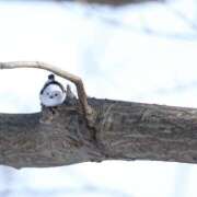 ヒメ日記 2025/07/26 00:08 投稿 るみ マリン千姫