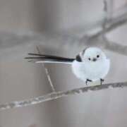 ヒメ日記 2025/08/02 23:06 投稿 るみ マリン千姫