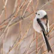 ヒメ日記 2025/08/13 11:46 投稿 るみ マリン千姫
